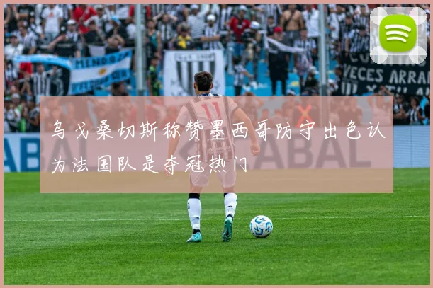 乌戈桑切斯称赞墨西哥防守出色认为法国队是夺冠热门
