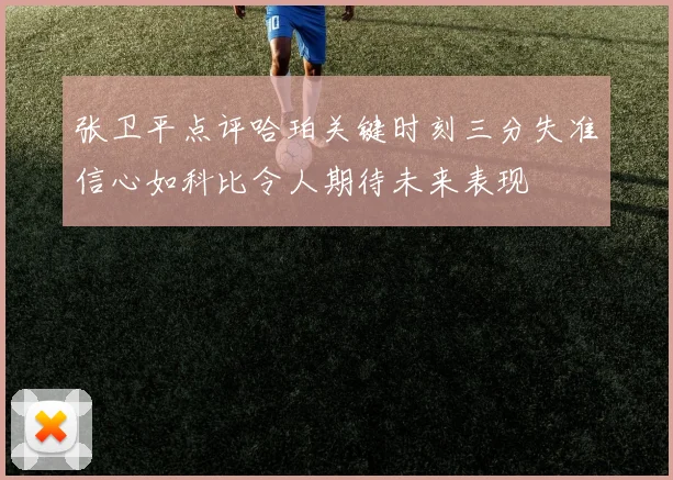 张卫平点评哈珀关键时刻三分失准信心如科比令人期待未来表现